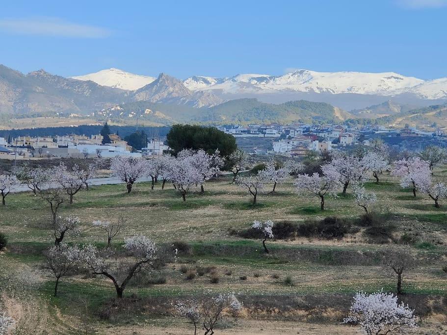 Villa Terracota, Lujo En Granada Y Sierra Nevada 외부 사진